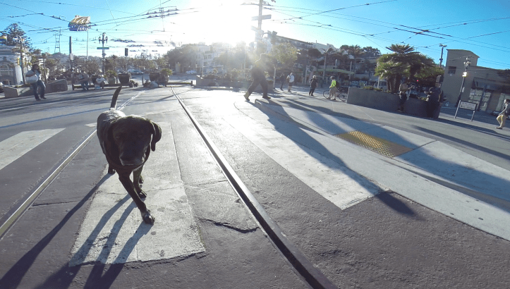 vlcsnap-2016-07-15-20h46m53s935