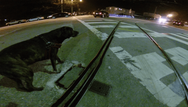 vlcsnap-2016-07-01-00h49m02s549